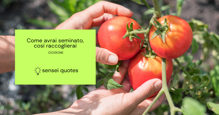 Come avrai seminato, così raccoglierai - Cicerone - Sensei Quotes