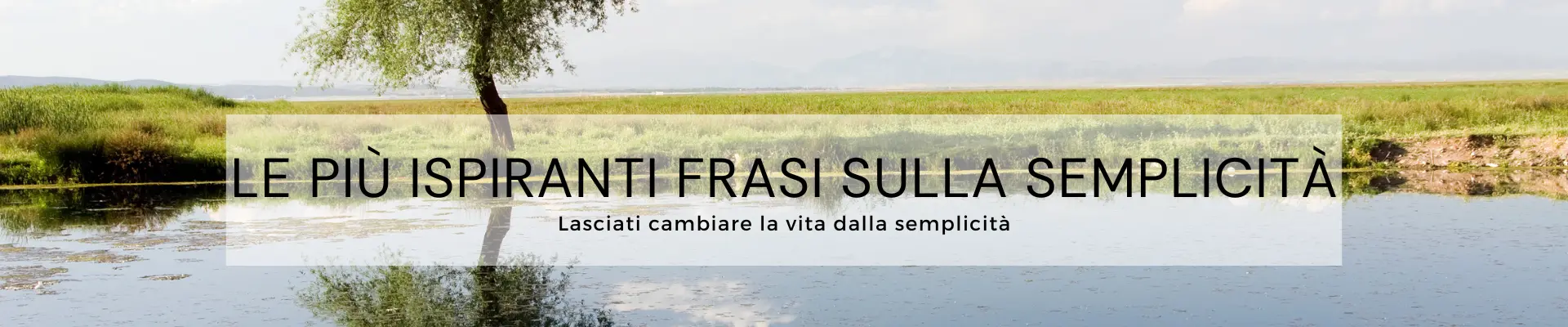 Frasi sulla semplicità - Sensei Quotes