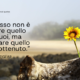 Il successo non è ottenere quello che vuoi, ma apprezzare quello che hai ottenuto - Zig Ziglar - Sensei Quotes