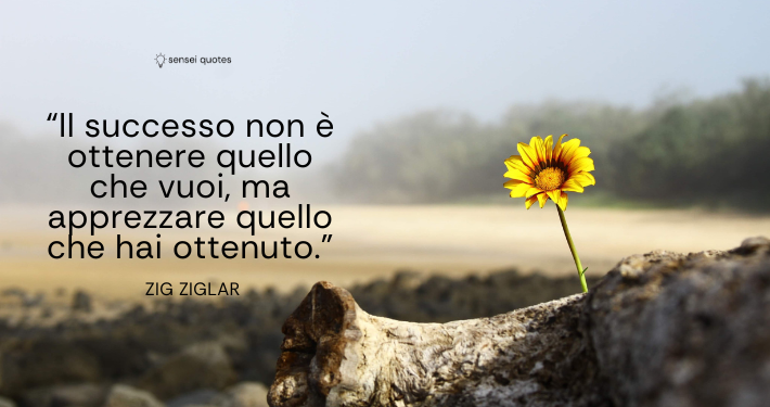 Il successo non è ottenere quello che vuoi, ma apprezzare quello che hai ottenuto - Zig Ziglar - Sensei Quotes