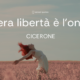 La vera libertà è l’onestà. - Cicerone - Sensei Quotes