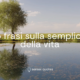 15 frasi sulla semplicità della vita - Blog - sensei quotes